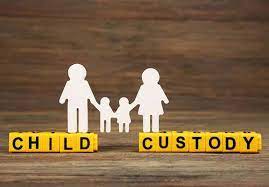 Child Custody Case Lawyer in Patiala House Court